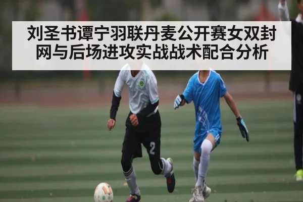 刘圣书谭宁羽联丹麦公开赛女双封网与后场进攻实战战术配合分析